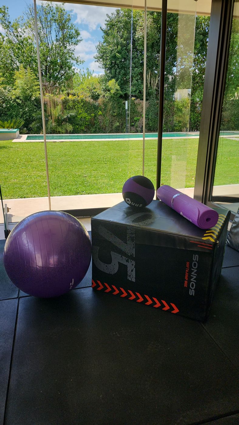 Cajón pliométrico, pelota y colchoneta frente al jardín